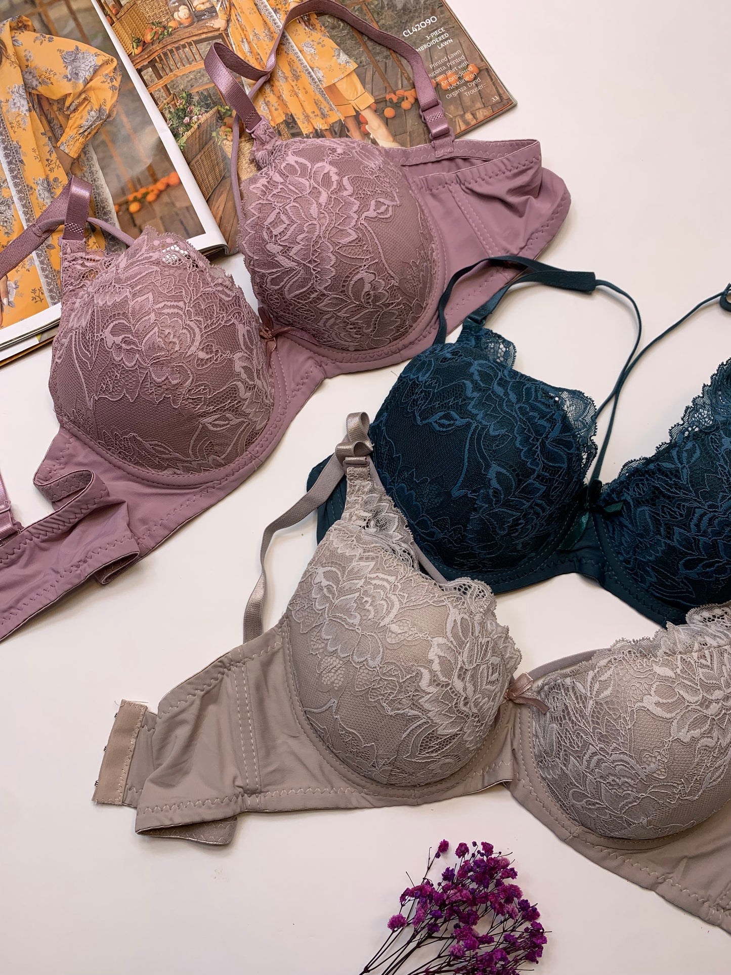 Elegant Criss Cross Design Padded Pushup Wired Bra