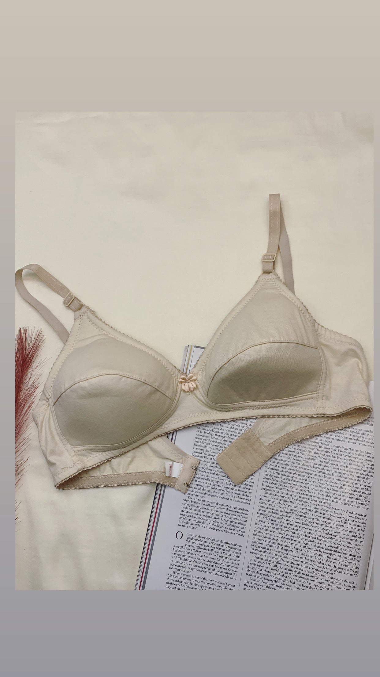 Daily Wear Full Coverage Thin Pad Bra