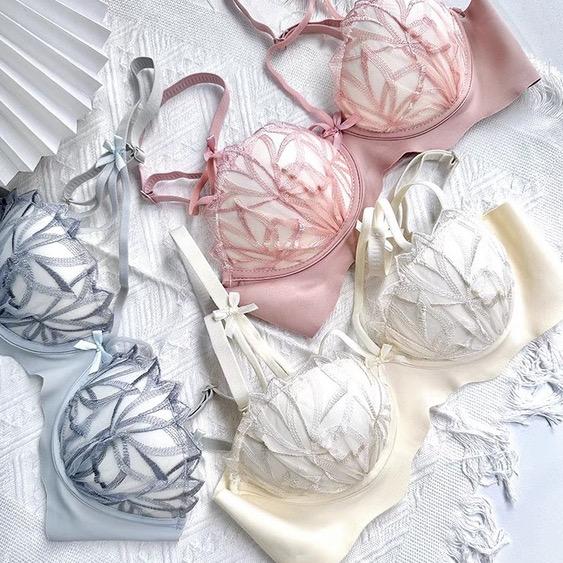 Beautiful Embroidered Non Wired Bra Panty Set