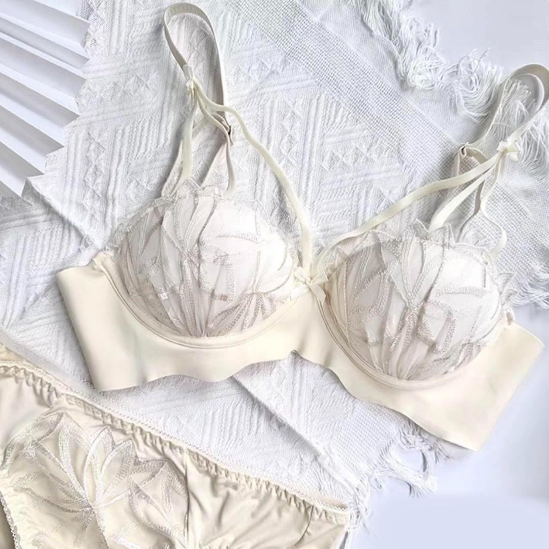Beautiful Embroidered Non Wired Bra Panty Set