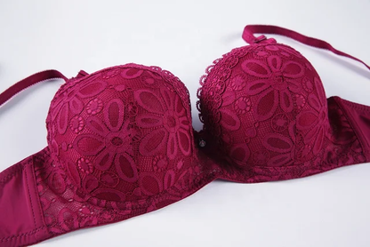 Elegant Daily Wear Padded Push-up Under Wire Full Coverage Bra