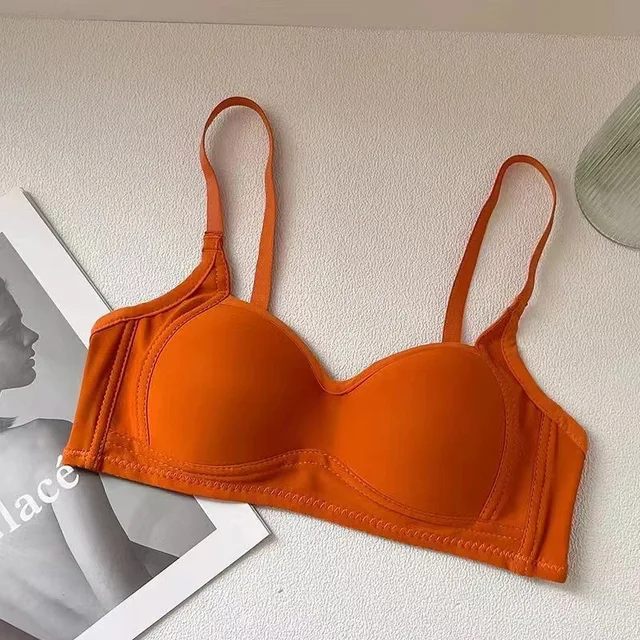 Dailywear Seamless Round cup T shirt Bra