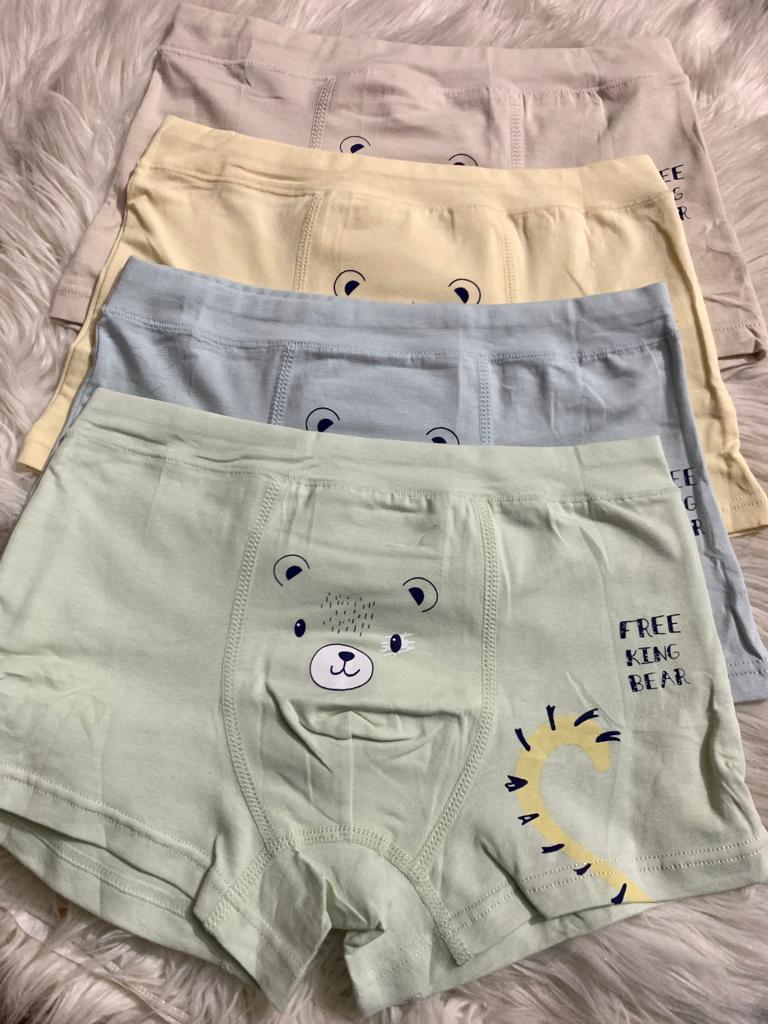 Pack of 3 Kids Boxers Lion (117)