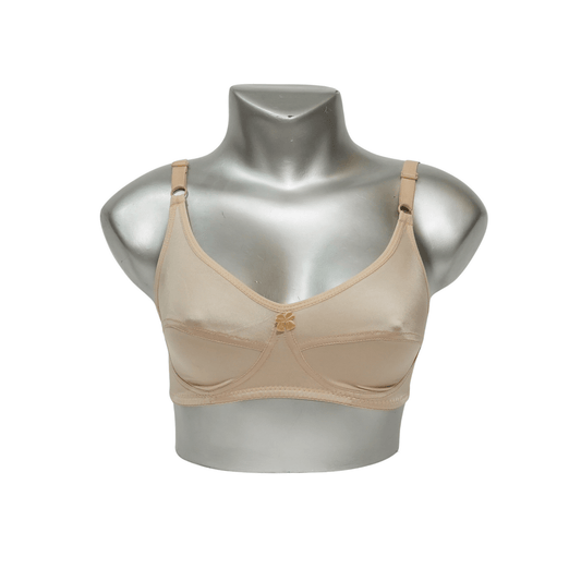 Ice Silk Dailywear Bra