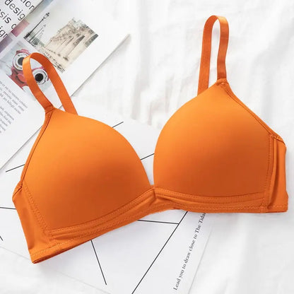 Dailywear Seamless T shirt Bra