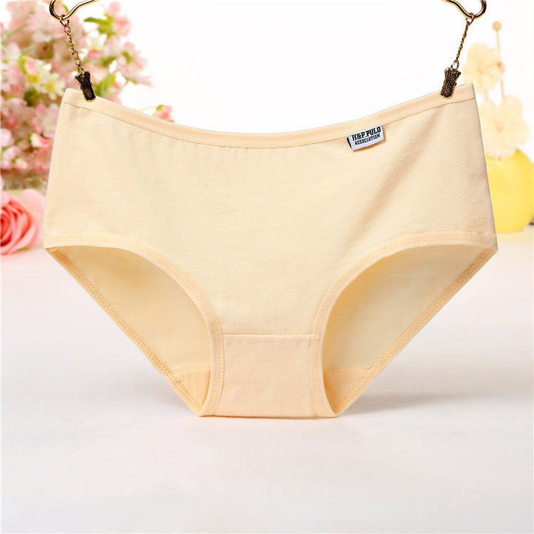 Daily Wear Cotton Underwear