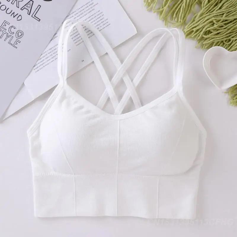 Double Stripped Anti Sweat Sports Bra Free Size For (30-36)