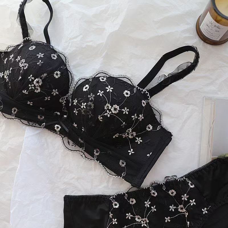 Pinteresty Embroided Bra Pabty Set (163)